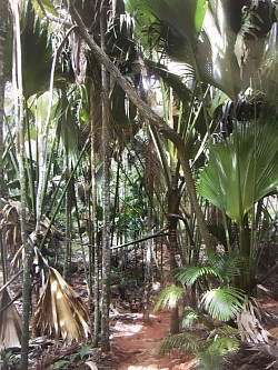 Vallée de mai
