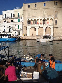 Monopoli
