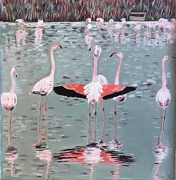 Flamants.Plus disponible.