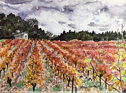 Vignes à l'automne en Provence . Offert à ma cousine.